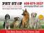 Hidden Fencing With Total Pet Control