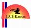 Provided by Jab Karate & Tae Kwon DO Center, Okauchee 