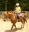 Provided by Thornberry Stables LLC, Hobart 