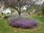 Milwaukee Lawn Sprinkler Corp