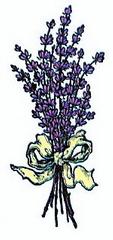 Lavender Lane - Watertown, WI