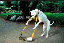 image for the product advertised