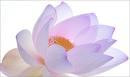  by Body Massage  Wellness Spa Denver 80202 