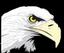Eagle Eye Wholesalers