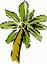 Palm Occupational Medicine
