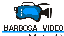 Barbosa Video Services
