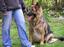 Provided by Redwood Kennel, Bethel 