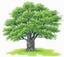 Charter Oak Telephone, LLC