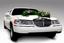 Collins Limo & Transportation