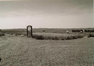 Dizzy Diner - Terry, MT