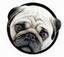 Woof...Cool Stuff for Dogs