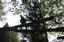 Provided by Allmark Tree Services and Crane Services, nassau 