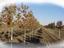 Rose Tree Nursery
