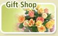 cta_giftshop provided by Hendricks Regional Health Plainfield 46168 
