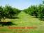 Provided by Applehutch Rt, Plains 