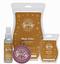 Scentsy Wickless Candles