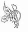 Addies Floral and Gifts