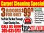 CARPET CLEANING SPECIAL $99.99.jpg
