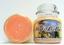 Candle Scentsabilities