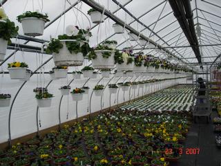 Riverside Greenhouses Llc - Andover, NJ