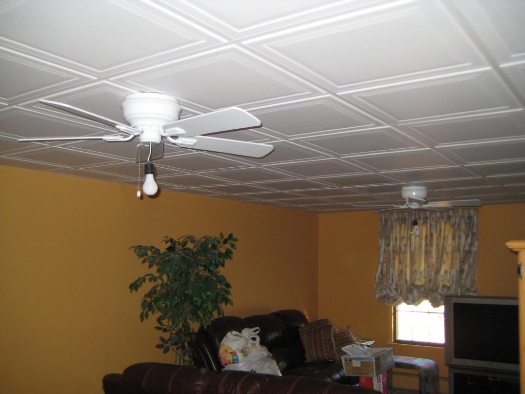 Country Homes Suspended Ceiling Design