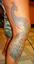 Provided by Zebra Tattooz, Streetsboro 