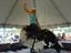 Double D Mechanical Bulls