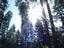 DSC00580.JPG