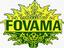 Fovama Oriental Rugs & Carpets