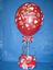 Provided by The Balloon Shop, Forest Lake 