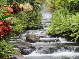 Waterfall.jpg provided by NAPPA'S TILE & WOOD FLOORING Catskill 12414 