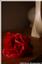 Provided by LDM Focus Photography, Rome 