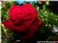 Provided by LDM Focus Photography, Rome 