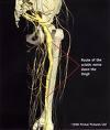  by HTM Clinical Massage (HEALING THERAPEUTIC MASSAGE) Claremore 74017 
