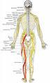  by HTM Clinical Massage (HEALING THERAPEUTIC MASSAGE) Claremore 74017 