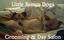 Provided by Little Brown Dogs Grooming and Day Salon, Brownfield 
