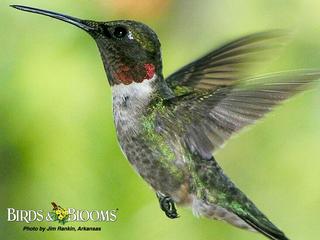 Reflections A Creative Hair - Shalimar, FL