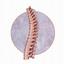 In Line Chiropractic