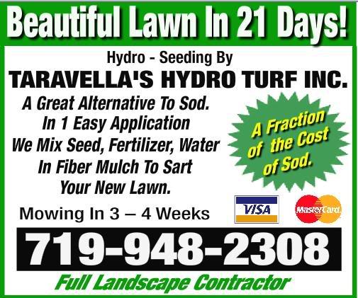Colorado Sod