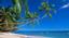 Fort Myers Beach Realty - Giovina Mimmo - Realtor/Broker Associate