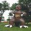 Provided by Northcoast Balloons Incorporated, Ottawa Lake 