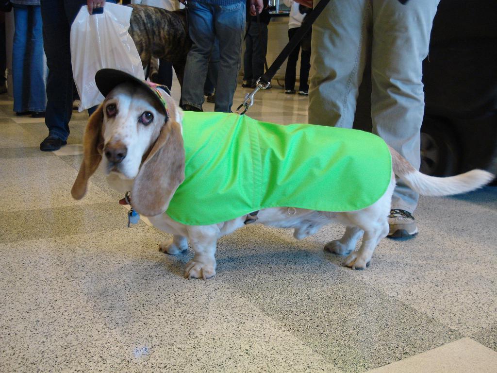 Richards Harness Coat Co Dog Coat Royal Oak MI 48067 2485467422