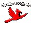 Cardinal Door Inc