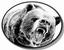 Grizzly Building Company Inc