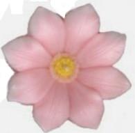Clematis_Floating_Candle_PINK_LG.jpg