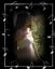 Provided by Baxters Photography, Zanesville 
