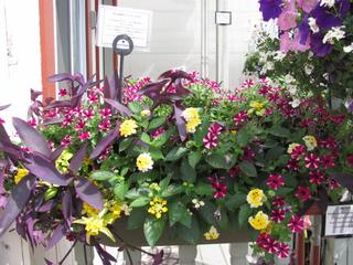  by Beside Still Waters Spencerville 46788 