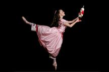 Georgia Academy Of Dance - Peachtree City, GA