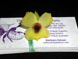  by VALLEY ORCHID SUPPLY Westport 98595 