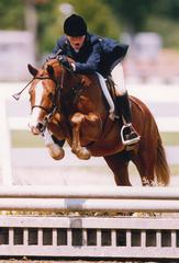 North Gate Farm - Sudbury, MA